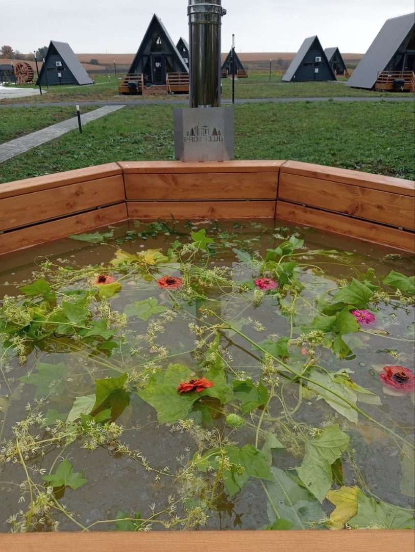 Красниково-купание-в-чане