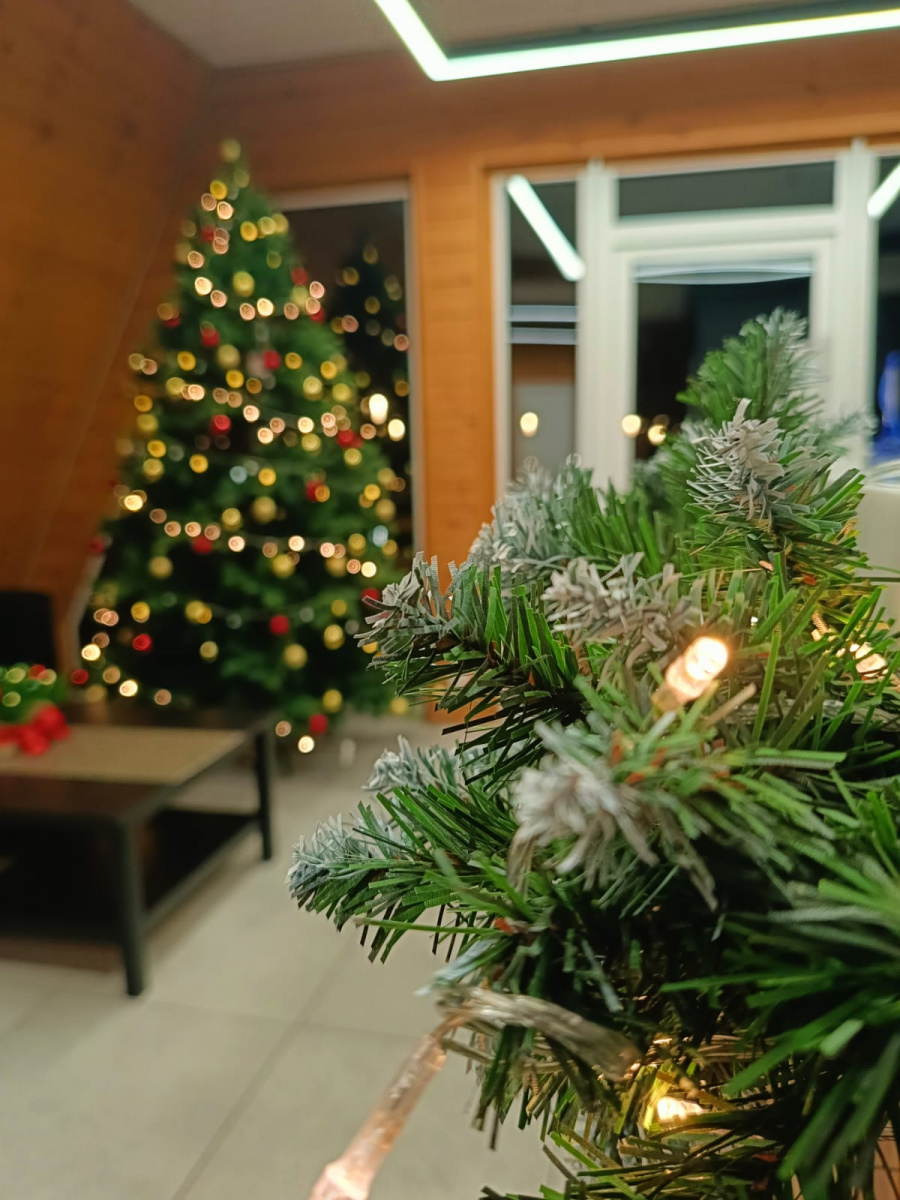 Фотогалерея