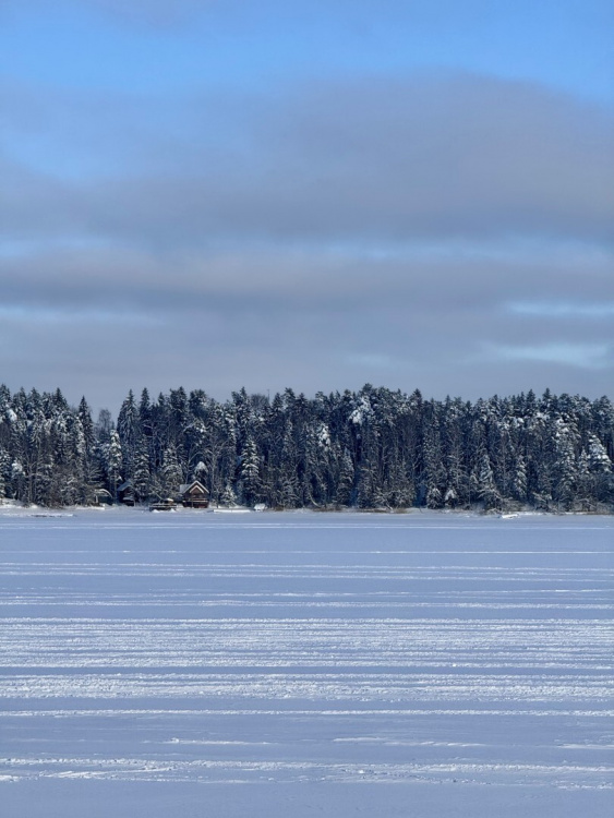 Яхонты Истра